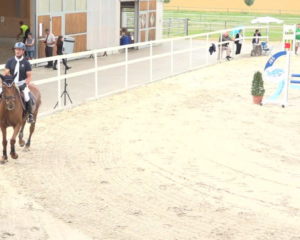 Reitturnier Möhlin 2019