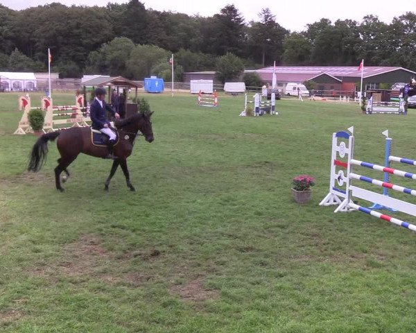 Reitturnier Hanerau-Hademarschen 2019