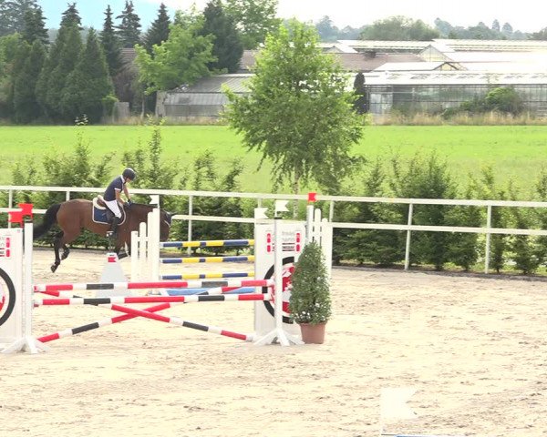 Reitturnier Möhlin 2019