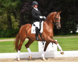 dressage horse Equitares (Westphalian, 2011, from Estobar NRW)