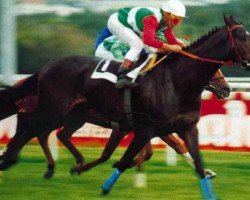 stallion Partipral xx (Thoroughbred, 1989, from Procida xx)