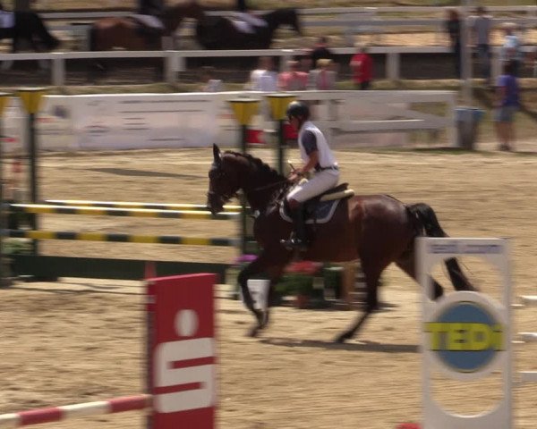 Reitturnier Letmathe 2019