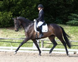 broodmare Malou (Trakehner, 2009, from Impetus)