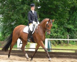 broodmare Rosenkönigin (Westphalian, 2002, from Rosenkoenig)