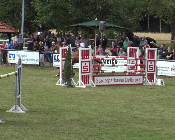 Reitturnier Delbrück-Ostenland 2019