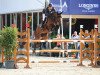 jumper Charinua (Oldenburg show jumper, 2010, from Chacco-Blue)