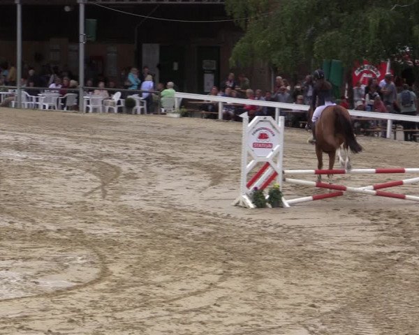 Reitturnier Letmathe 2019