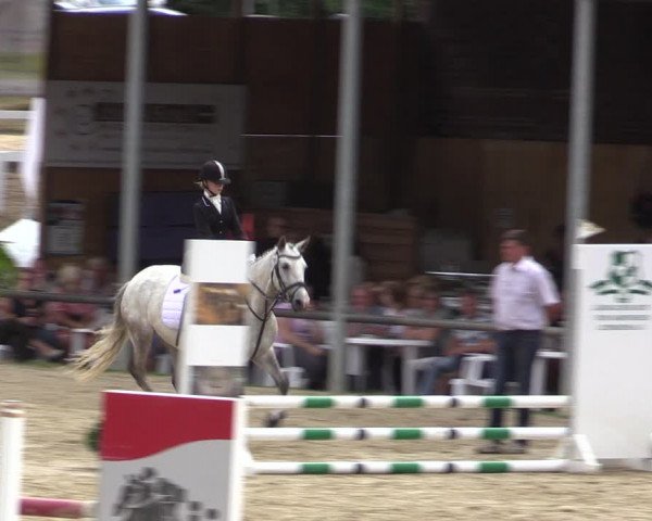 Reitturnier Letmathe 2019