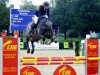 jumper Lucky Leni (Oldenburg show jumper, 2012, from Lucky Boy)