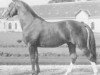 stallion Espoir du Scion (Selle Français, 1970, from Ukase)
