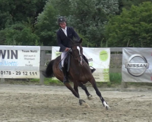 Reitturnier Kalenborn Hegehof 2019