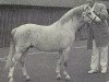 Deckhengst Dyrin Quicksilver (Welsh Mountain Pony (Sek.A), 1969, von Dyrin Martini)
