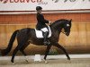 dressage horse Zucchero (KWPN (Royal Dutch Sporthorse), 2004, from Gribaldi)