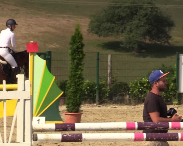 Reitturnier Lindlar-Süttenbach 2019