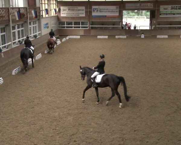 Reitturnier Delbrück-Ostenland 2019