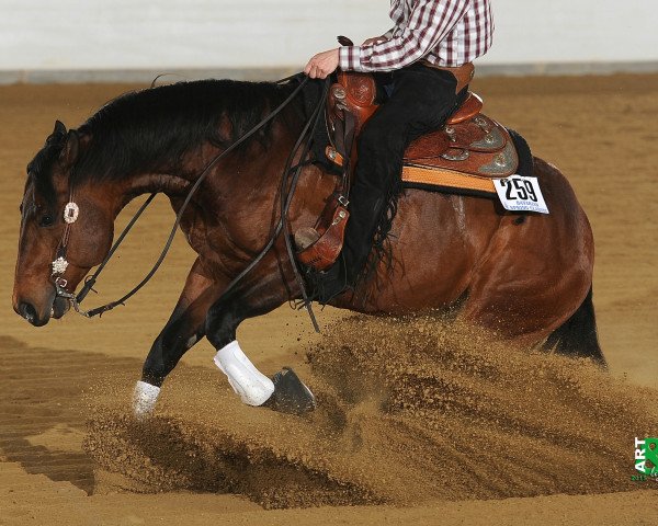 horse LR A Saint Sensation (Quarter Horse, 2008, from St Paddys Rooster)