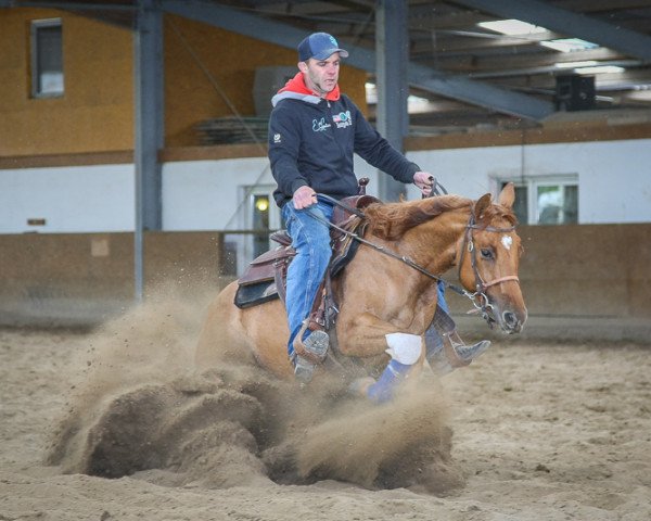 horse Twisted Juice (Quarter Horse, 2013)