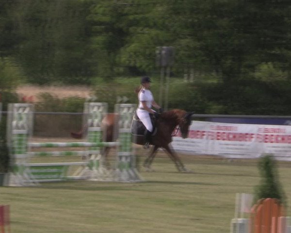 Reitturnier Delbrück-Ostenland 2019