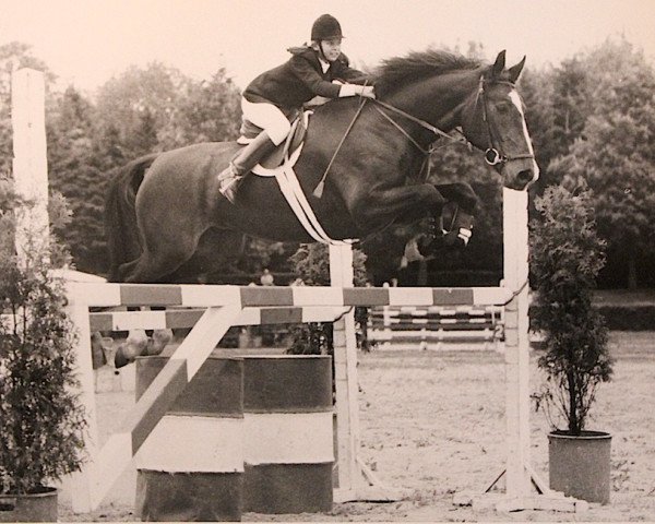 broodmare Wilea (KWPN (Royal Dutch Sporthorse), 1965, from Rigoletto)