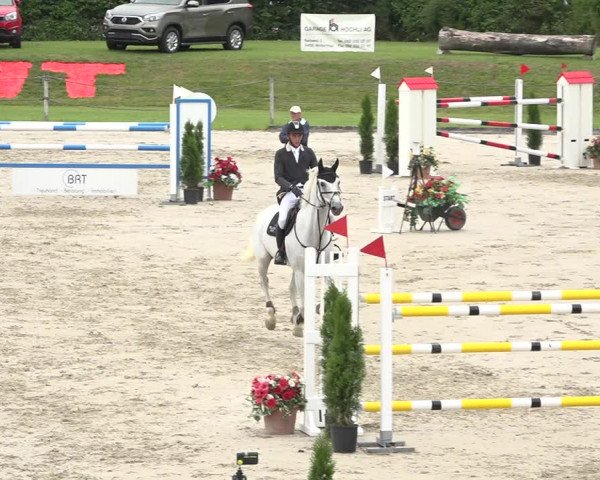 Reitturnier Turbenthal 2019