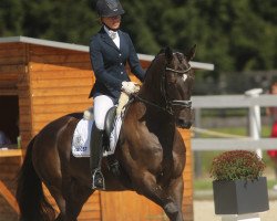 dressage horse Ticino 64 (Trakehner, 2010, from Hibiskus)