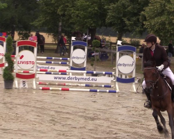 Reitturnier Münster-Roxel 2019