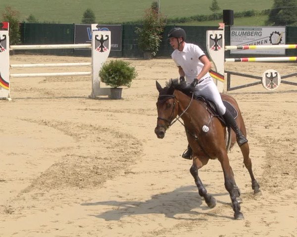 Reitturnier Lindlar-Süttenbach 2019
