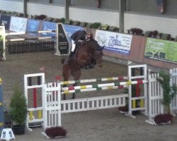 jumper Castello 202 (Hanoverian, 2008, from Chacco-Blue)