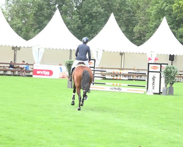 Reitturnier Kappelen-Lyss 2019