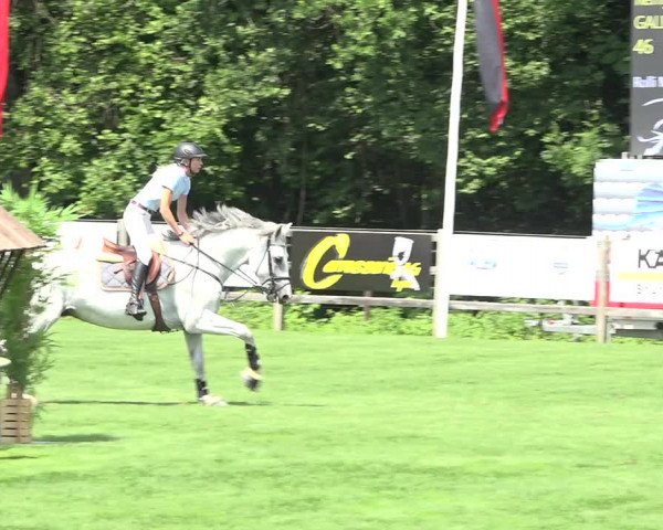 Reitturnier Kappelen-Lyss 2019