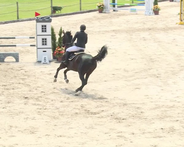 Reitturnier Turbenthal 2019
