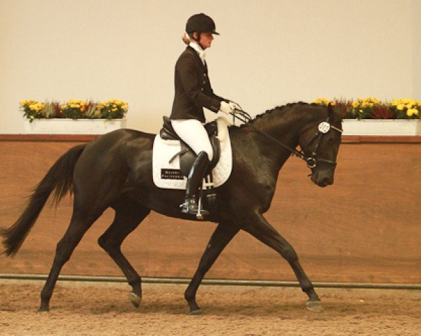 broodmare Flower Power (Trakehner, 2008, from Hibiskus)