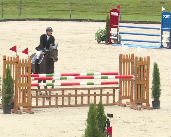 Reitturnier Turbenthal 2019