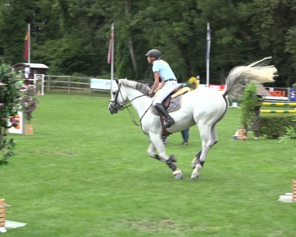 Reitturnier Kappelen-Lyss 2019
