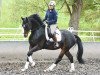 dressage horse Con un poco de Suerte (Hanoverian, 2008, from Conteur)