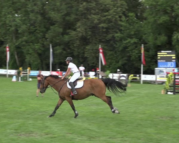 Reitturnier Kappelen-Lyss 2019
