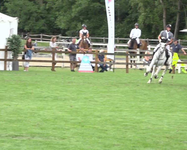 Reitturnier Kappelen-Lyss 2019