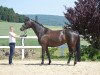 Zuchtstute Marienhof's Happy Ma Belle (Trakehner, 2011, von Abendtanz)