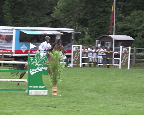 Reitturnier Kappelen-Lyss 2019
