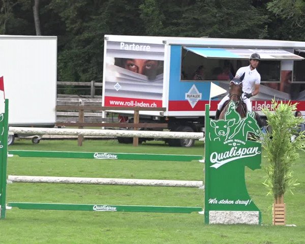 Reitturnier Kappelen-Lyss 2019