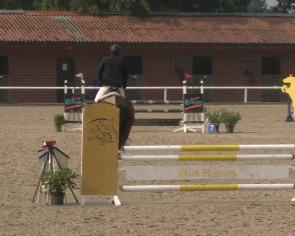 Reitturnier RA Haren/Lüssing 2019