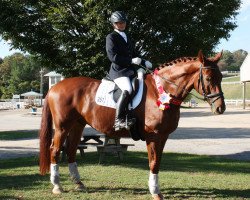 dressage horse Dakotah Wind (Westphalian, 2011, from Donnerlück)