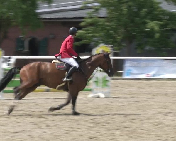 Reitturnier RA Haren/Lüssing 2019