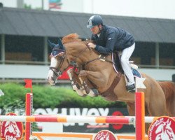 jumper Ugolino de la Tour Vidal (Belgium Sporthorse, 2004, from Ogano Sitte)