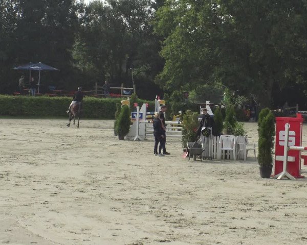 Reitturnier Vlotho-Exter 2019
