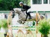 jumper Hermann 78 (Trakehner, 2010, from Handryk)