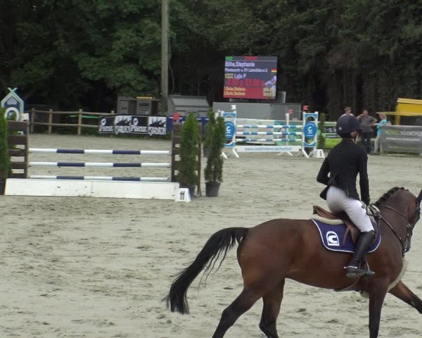 Reitturnier Vlotho-Exter 2019