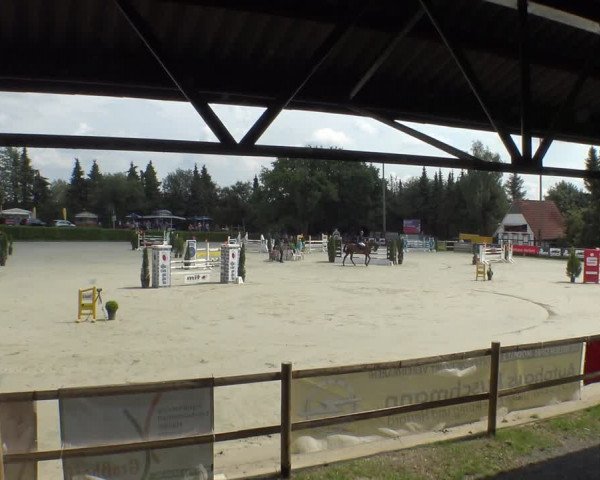 Reitturnier Vlotho-Exter 2019