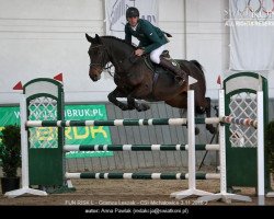 jumper Fun Risk L (KWPN (Royal Dutch Sporthorse), 2010, from Upgrade)