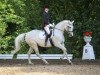 dressage horse Sinnhöfen (Trakehner, 2005, from Schoenbrunn)